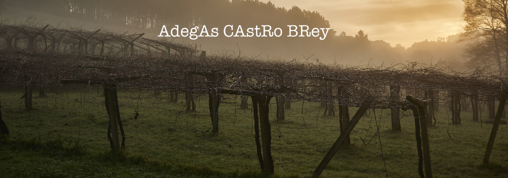 Adegas Castro Brey